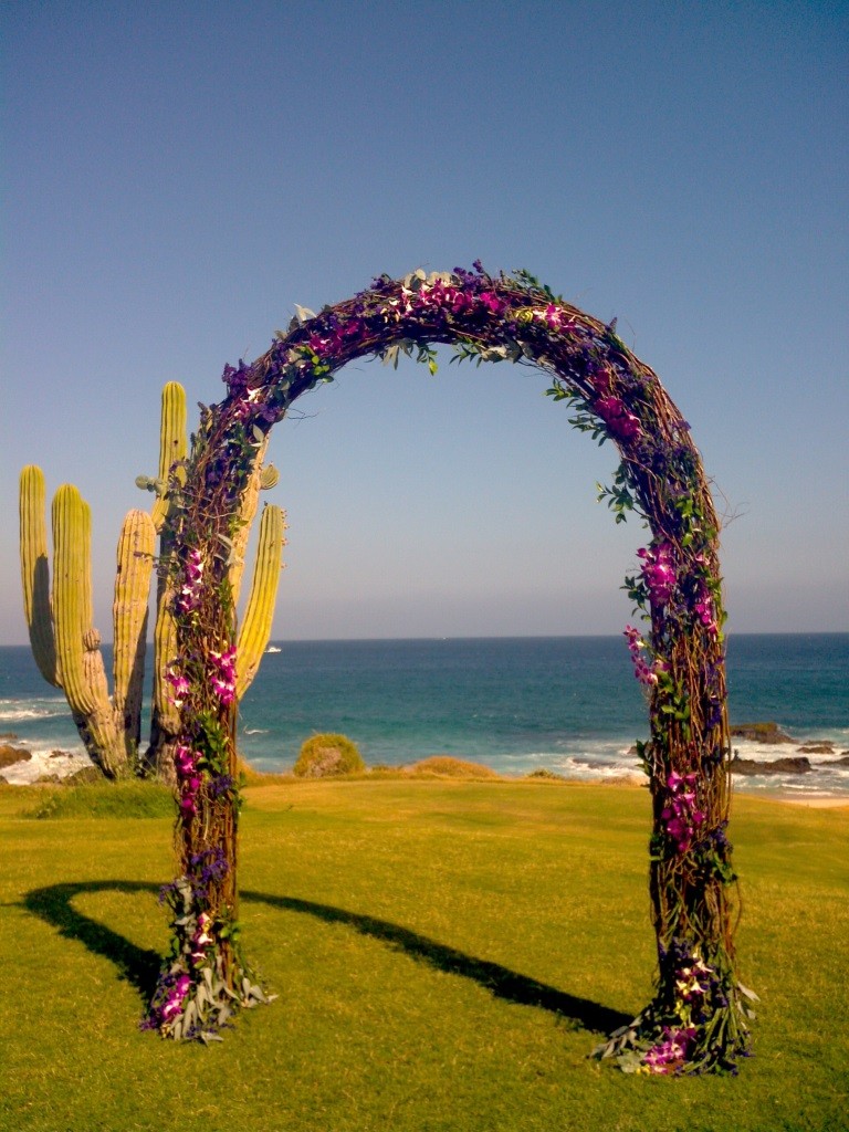 Arch,wbranches&dendrobs