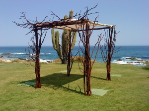 Chuppah 3