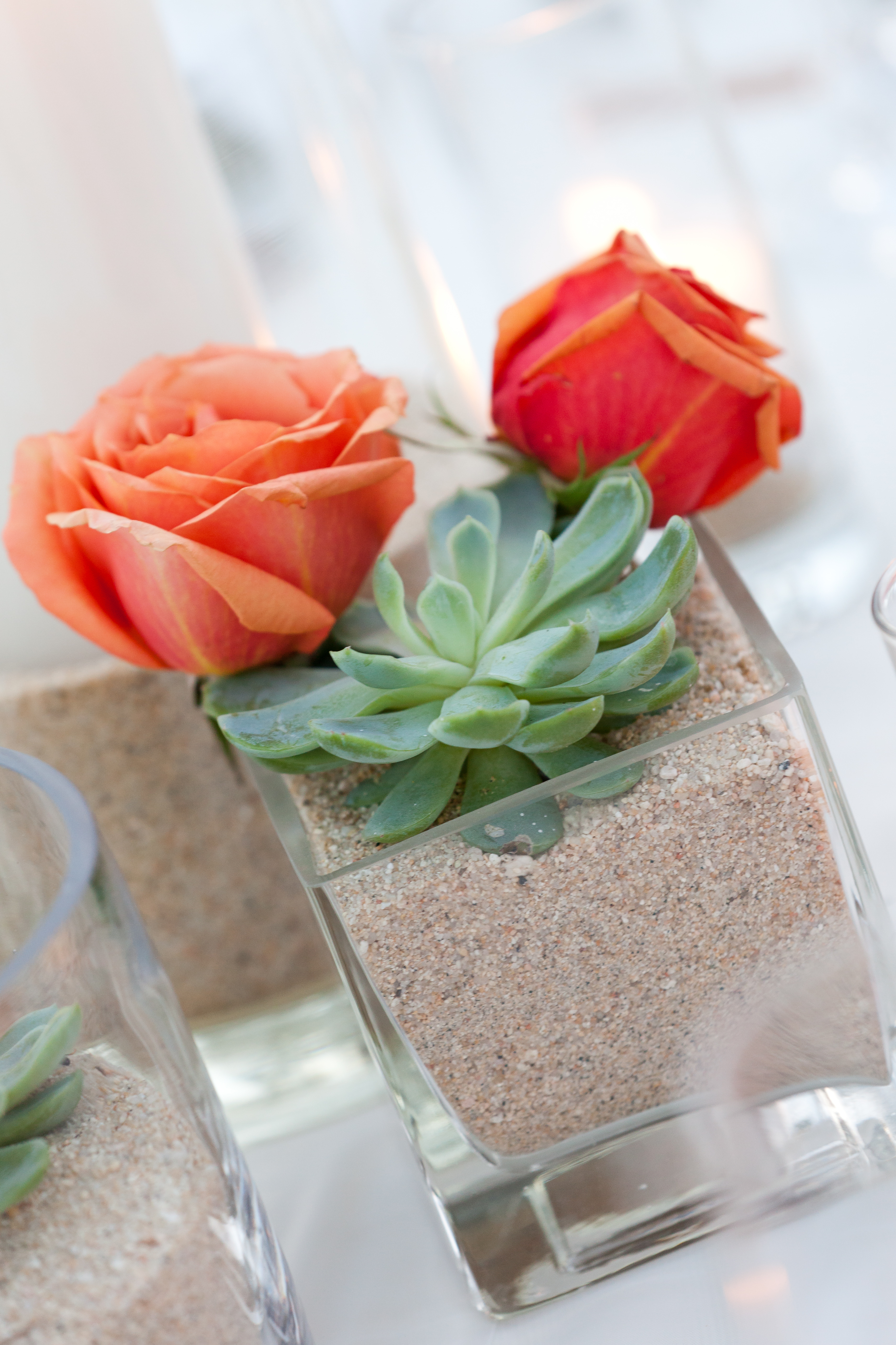 Destination Wedding Photos by Dino Gomez