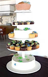 Cake, cupcakes & edible succulents